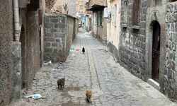 Diyarbakır'da metruk yapıların yıkımına itiraz