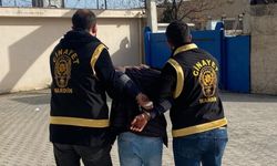 Mardin'de 2 şahıs tutuklandı