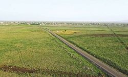 Diyarbakır’da araziler kamulaştırılacak