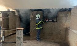Nusaybin’de yangın paniği