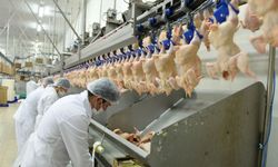 Beyaz et sektöründeki 4 firmaya ceza