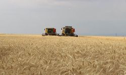 Diyarbakır’da hangi tarım ürünleri yetiştiriliyor?