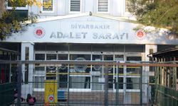 Diyarbakır’da kardeşlerini istismar eden zanlı serbest