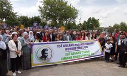 Diyarbakır'da Kürt Dil Bayramı yürüyüşü