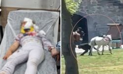 Diyarbakır’da piknik yapanların arasına at daldı: yaralılar var