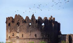 Diyarbakır'ın Zengin Tarihi ve Kültürel Mirası Hakkında Şaşırtıcı Detaylar!
