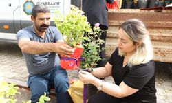 Diyarbakır’da yurttaşlara 3 bin 250 bitki desteği