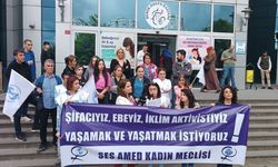 Diyarbakır'da "Dünya Ebeler Günü" açıklaması