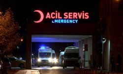 Diyarbakır'da 'inek’ yüzünden çıkan kavgada bir kişi öldü