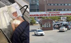 Mardin’de sokak köpeği çocuğu parçaladı