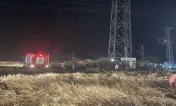 Mardin’de 50 dönümlük buğday kül oldu