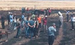 Diyarbakır’da 200 dönüm buğday ve üzüm bağları kül oldu