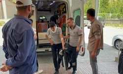 Bitlis'te patpat devrildi: 8 yaralı