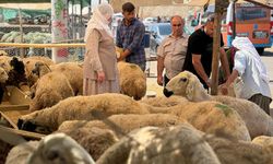 Diyarbakır'da son günde pazar kızıştı!