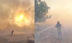Mardin’de ekili alanlarda yangın
