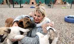 Kuduz köpekleri getirdiği iddiasıyla tutuklanmıştı: Tahliye edildi