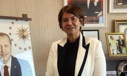 AK Parti Diyarbakır Milletvekili: Hepimiz kayyumdan rahatsızız