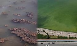 İzmir’de büyük panik: Denizin rengi değişti