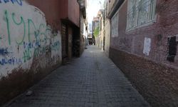 Diyarbakır Suriçi’nde akrep istilası; 15 mahalle uyuyamıyor