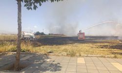 Diyarbakır'da bir yangın paniği daha!