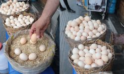 Diyarbakır'da köy yumurtası ne kadar?