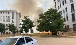 Diyarbakır’da panik anları: Yangın binalara sıçradı