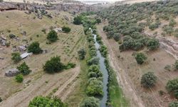 Diyarbakır'da sıcaktan bunalan buraya koşuyor