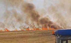 Diyarbakır Hazro’da biçerdöver kaynaklı yangın; 500 dönüm kül oldu