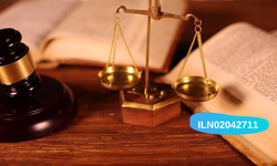 T.C. ERGANİ 1. ASLİYE HUKUK MAHKEMESİNDEN