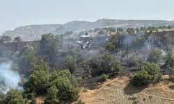 Diyarbakır Kulp’ta 10 hektarlık alanda örtü yangı