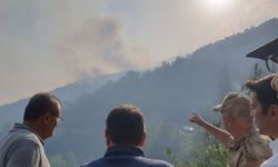 Sinop'ta orman yangını! Havadan ve karadan müdahale devam ediyor