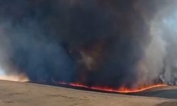 Diyarbakır Sur’da bin dönümlük arazide yangın