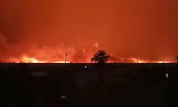 Binlerce dönüm TİGEM arazisi cayır cayır yanıyor