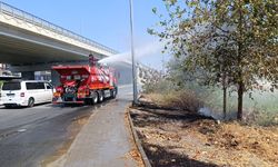 Yol kenarına atılan izmarit yangın çıkardı