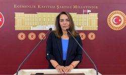 Diyarbakır Milletvekili Kaya: Savaşa karşı çözüm Öcalan'dadır