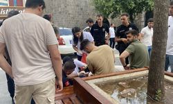 Diyarbakır’da bıçaklı park kavgası: 2 yaralı