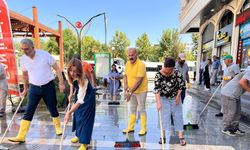 Eş Başkanlar Bismil'in caddelerini temizledi