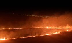 Diyarbakır merkez Talaytepe’de büyük yangın