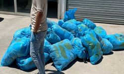 Diyarbakır’da bir iş yerinde 296 kilo uyuşturucu ele geçirildi; 1 gözaltı
