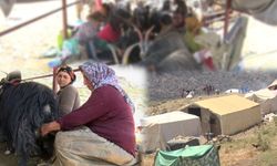 Laleş Yaylası'nda göçerlerin zorlu yaşamı