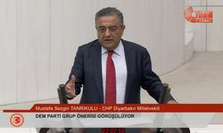 Diyarbakır Milletvekili Tanrıkulu: Parlamento suç mahaline dönüştü