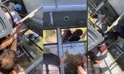 Şanlıurfa’da halk otobüs devrildi; yolcular camları kırarak dışarı çıktı