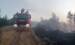 Bingöl’ün imdadına Diyarbakır yetişti