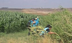 Kayıp Narin için ekipler bataklık ve sazlık alanlara yöneldi