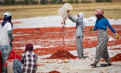 Mevsimlik göçte rota değişiyor