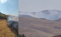 Siirt Gökçebağ’da yangın: 40 dönüm alan küle döndü