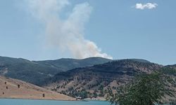 Tunceli’de orman yangını; askeri birlikler teyakkuza geçti