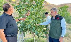 Hakkari Yüksekova’da yeni dönem