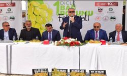 Dicle Bağ Bozumu Festivali ne zaman düzenlenecek?