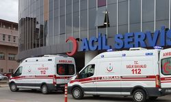 Minibüs sulama kanalına çarptı: 9 yaralı